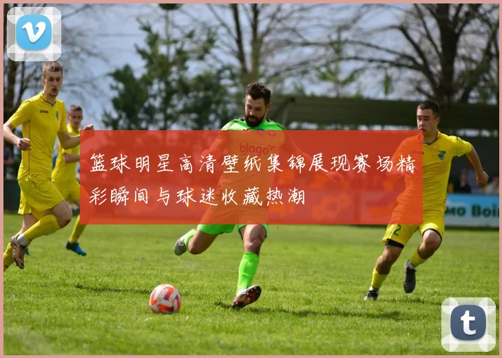 篮球明星高清壁纸集锦展现赛场精彩瞬间与球迷收藏热潮