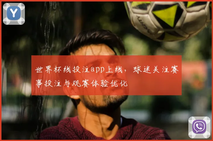世界杯线投注app上线,球迷关注赛事投注与观赛体验优化