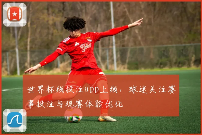 世界杯线投注app上线,球迷关注赛事投注与观赛体验优化
